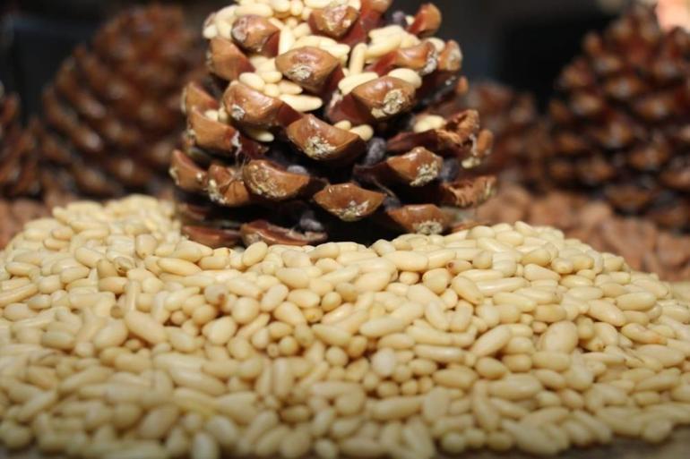 Çamda yetişiyor, altınla yarışıyor Kilogram fiyatı 3 bin 550 liraya yükseldi