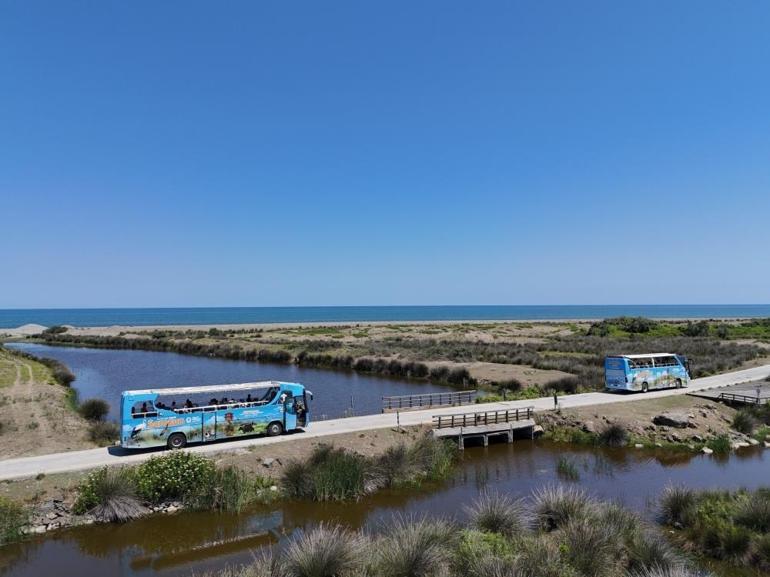Samsunda devreye giriyor Yeni otobüs hattı, birçok ilçeden geçecek