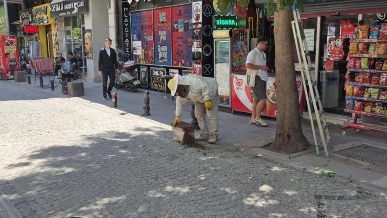 Eskişehirin göbeğini istila ettiler Yüzlercesi paniğe yol açtı
