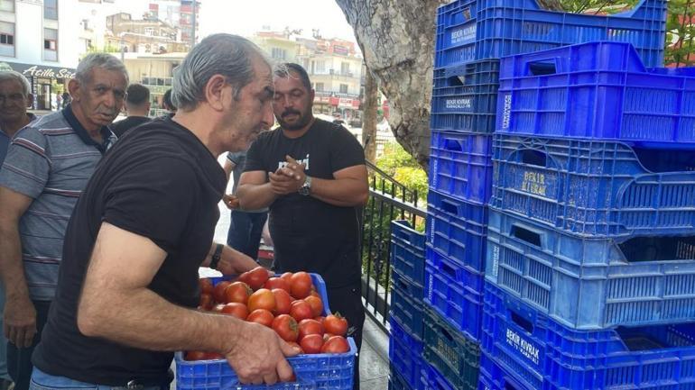 Antalyada halde alıcı bulamadı Tonlarca domatesi vatandaşlara ücretsiz dağıttı