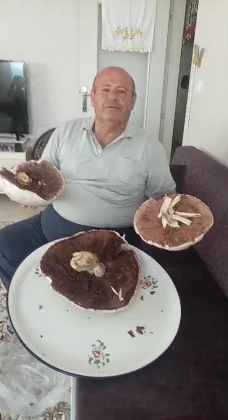 Konya’da böylesini ilk kez gördü Tepsi büyüklüğünde bulundu