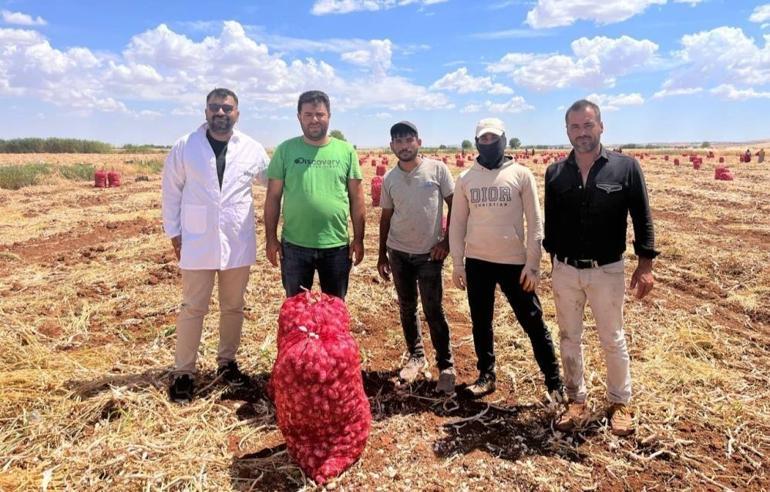 Şanlıurfada her gün 200 bin TL harcanıyor: Suruç Ovasında kaygı büyüyor