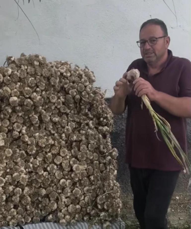 Konyada bu konumda sarımsak fiyatı dibi gördü