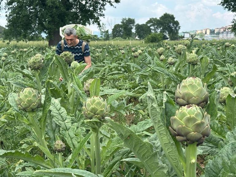 Milyonlarca liralık konutların arasında üretim Çiftçilerin zorlu mücadelesi
