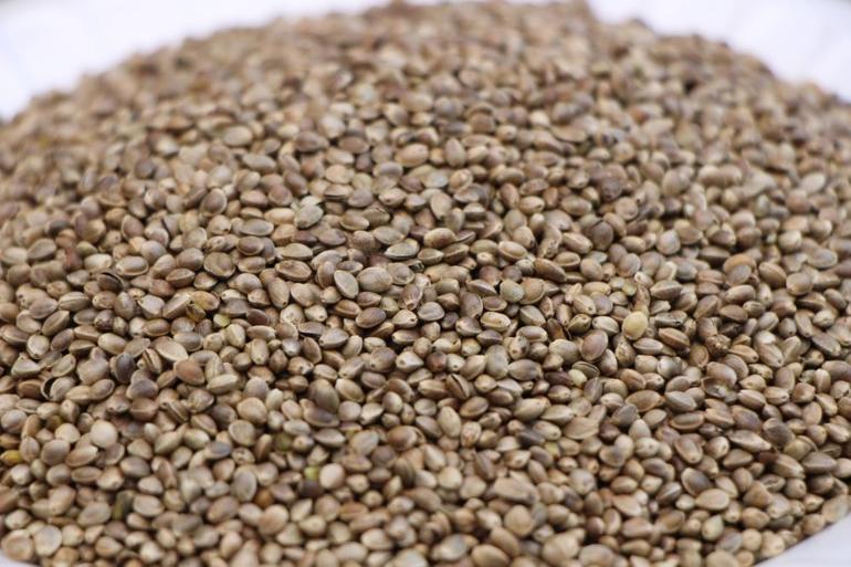 Yurt dışında kıymeti çok iyi biliniyor Etten daha çok protein içeriyor