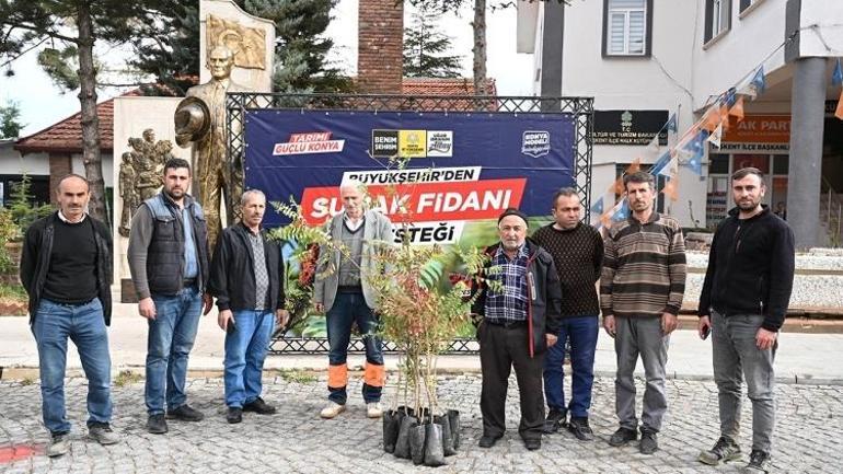 Konyada bugün başlıyor: 31 ilçede destek için şartlar belli oldu