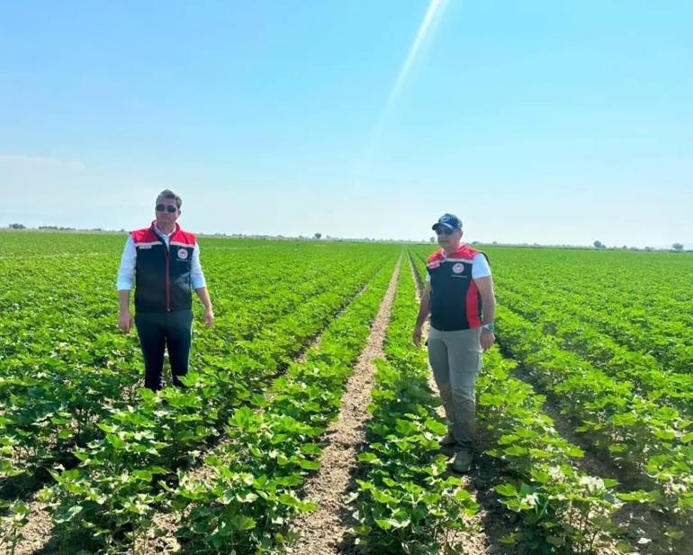 Tekstil devlerinin gözü Aydın’da 444 bin dekarlık havzada inceleme başladı