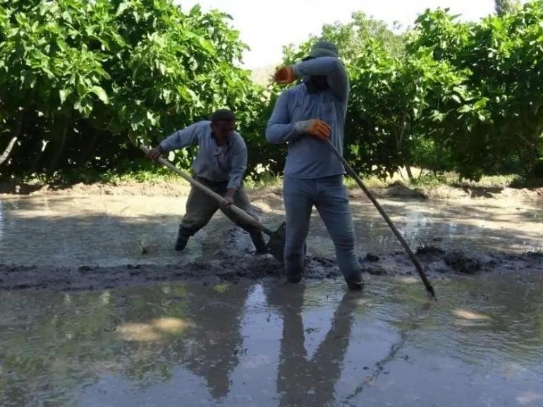 Batmanda tarlanın yanına kurdular: Kavurucu sıcaklık köylüleri dahi yaptı