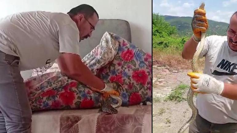 Amasya’da yakaladığı yılanı boynuna asıp bakın ne yaptı