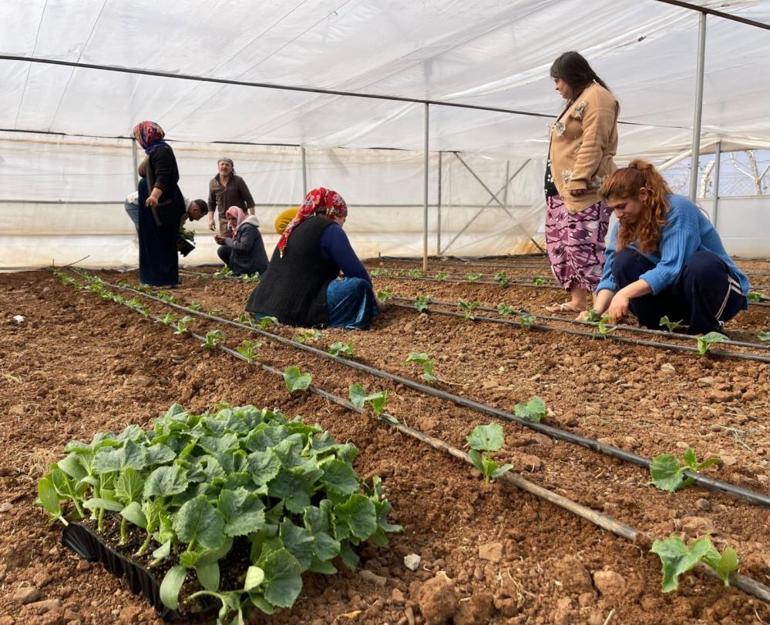 Su geldi, göç bitti Artık kendi işlerinin patronu oldular