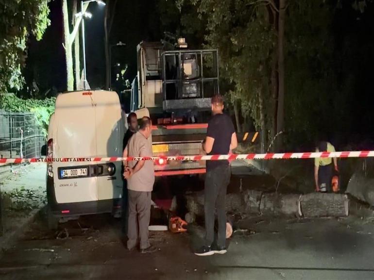 Fırtına Sancaktepede esti: Ağaçlar araçların üzerine devrildi