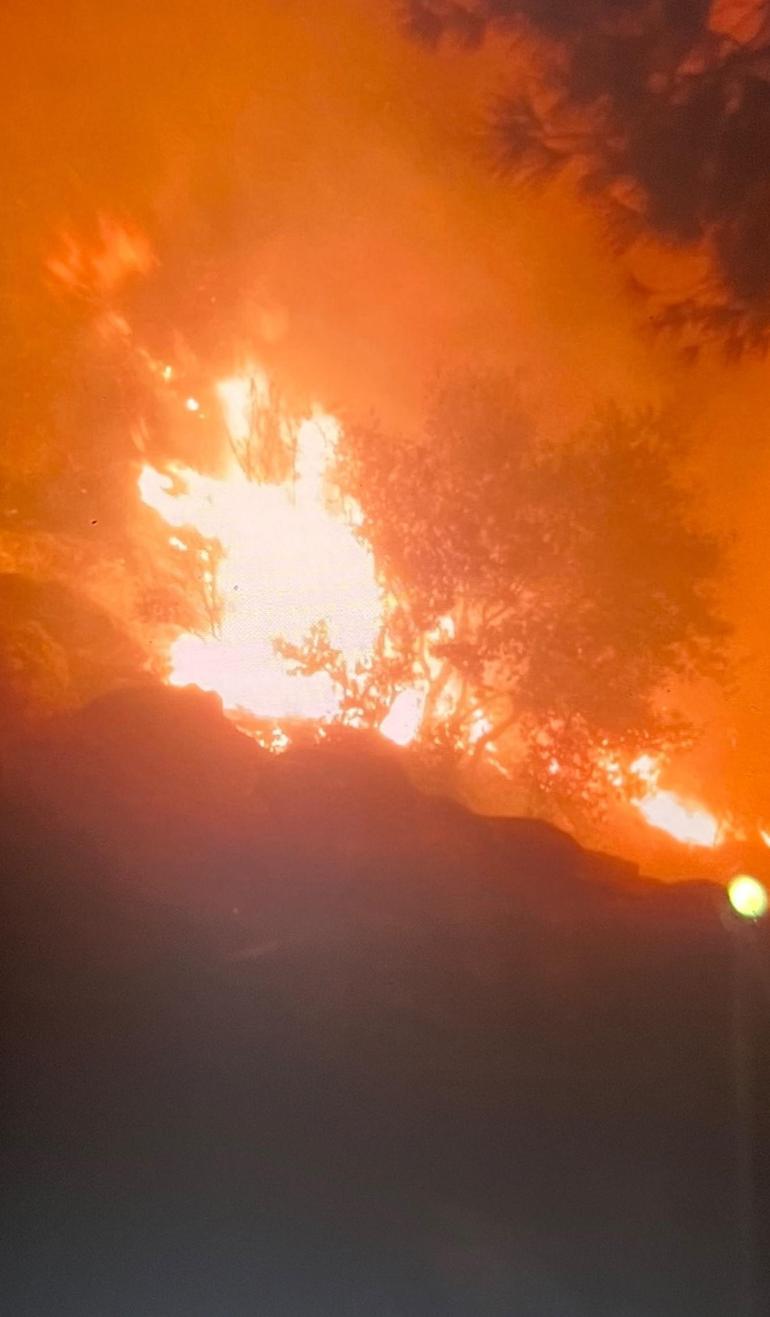 Muğla Yatağanda orman yangını çıktı