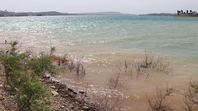 Adanada çocuğunun terliğini almak istedi sonrası korkunç