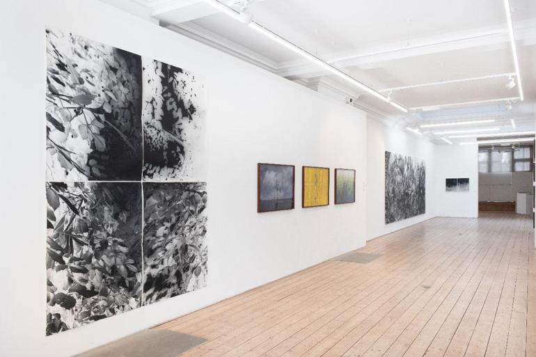 Vision Art Platform Londrada