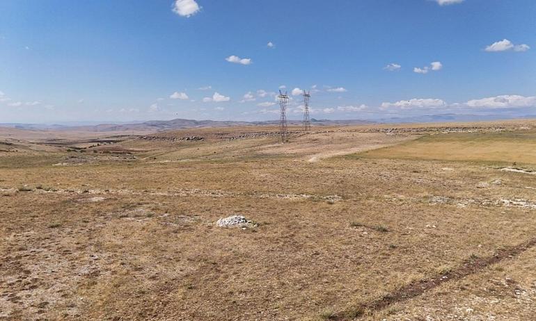 Malatya pilot il seçildi: Emanet hayvan dönemi başladı