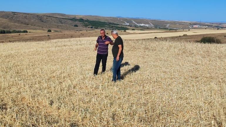 Yozgatta ürünü bu yıl dolu biçti: Zarar yüzde 100e ulaştı