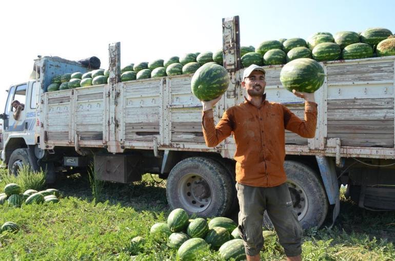 Yazın vazgeçilmez meyvesinde geçen yılki senaryo yaşanıyor 15 liradan 4 liraya düştü