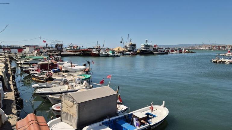 Balık sevenler bu yıl bayram edecek 40 sene sonra ilk defa patlama yaşanacak