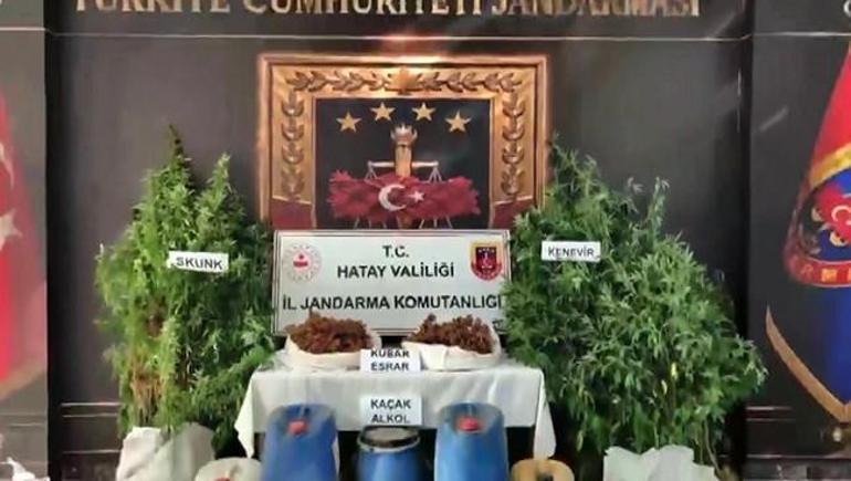 Hatayda ormanı zehir tarlasına çevirmişler: Jandarmadan Samandağda dev baskın