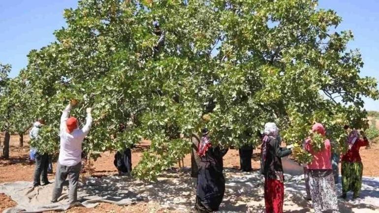Binlerce işçiyi ilgilendiriyor: Günlük ücret belli oldu