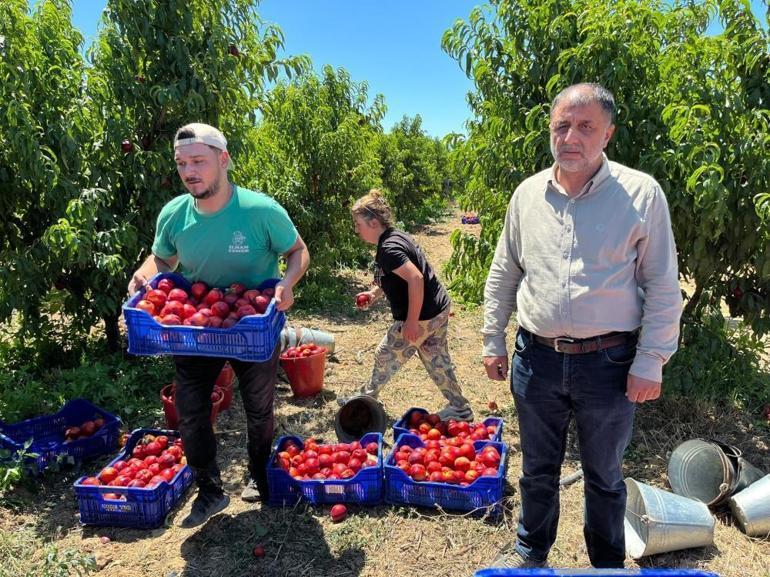 Üreticiden aracı tepkisi Tarlada 10 TL, markette 100 TL