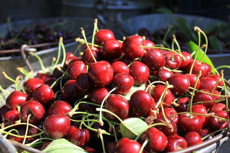 Stok azlığı ve yüksek aroma tercihi değerli yaptı Fiyatlar kısa sürede 60 liradan 100 liraya çıkacak
