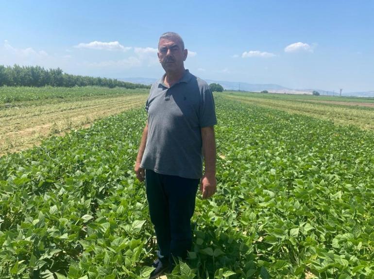 Bursada çiftçiyi rahatlatan kooperatif modeli: ne pazarlama derdi var ne fiyat kaygısı: Çeltikçi çiftçisinin sırtı yere gelmiyor