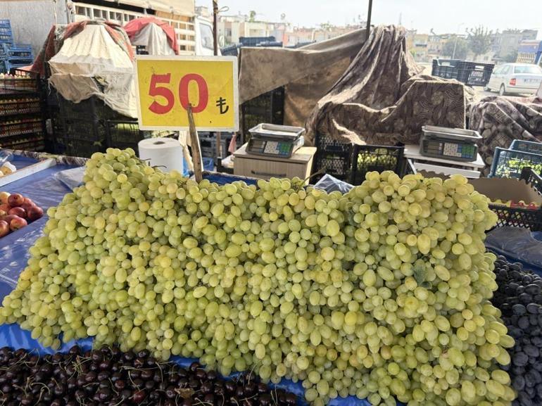 Yüksek rekolte tüketiciye yaradı, bu yaz bol bol yenecek Kilogram fiyatı 10 liraya kadar düştü