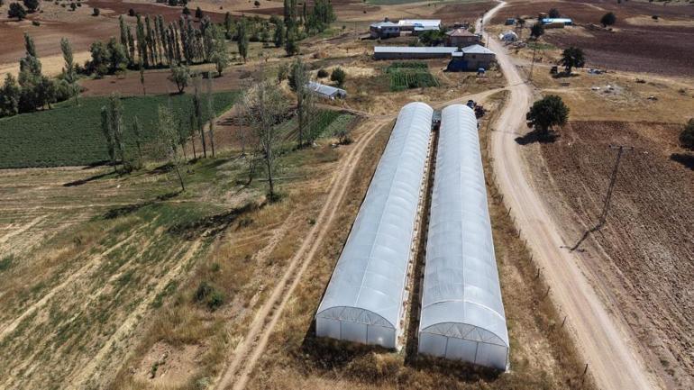 Adanalı baba-kız bin 500 rakımda sera kurdu Şimdi tonlarca ürün alacaklar