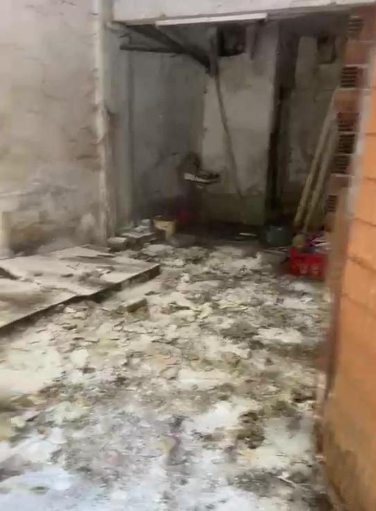 Bursada pire istilasına uğrayan sokakta kan donduran görüntüler