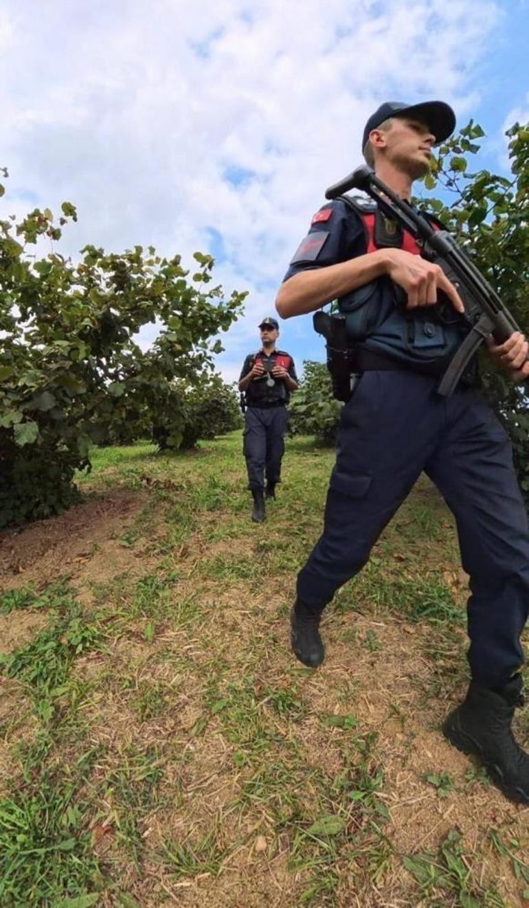 Fındık tarlalarında 7 gün 24 saat jandarma nöbeti