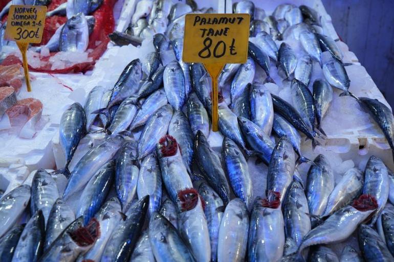 Yıllardır böylesi görülmedi Karadenizden palamut fışkırıyor