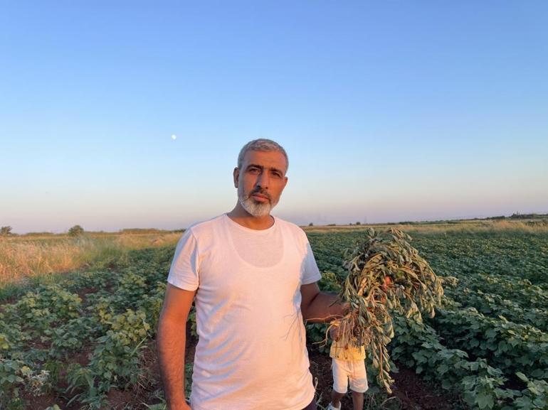 Şanlıurfada yetişiyor, Almanyada sofraların vazgeçilmezi oldu