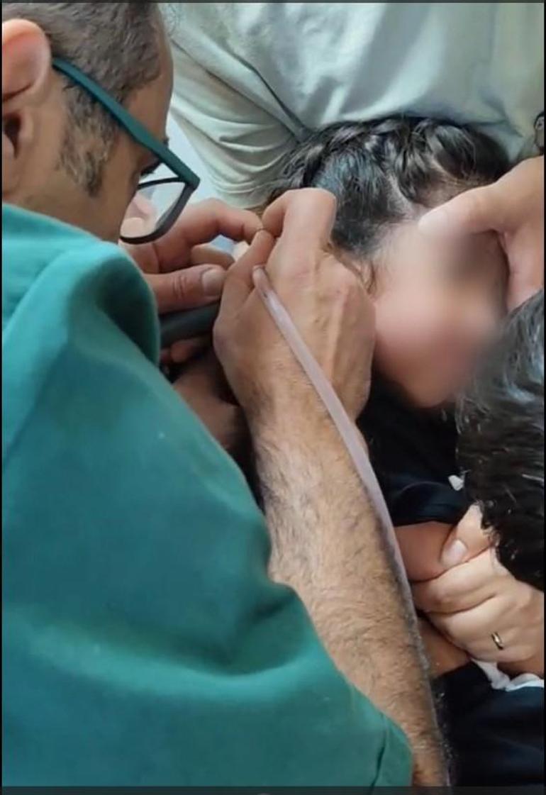 Eskişehirde kene kâbusu: Kulak zarına yapıştı