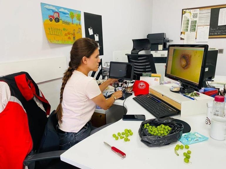 Manisada alarm verildi Tüm ilçelerde geçerli, 3 gün süresi var