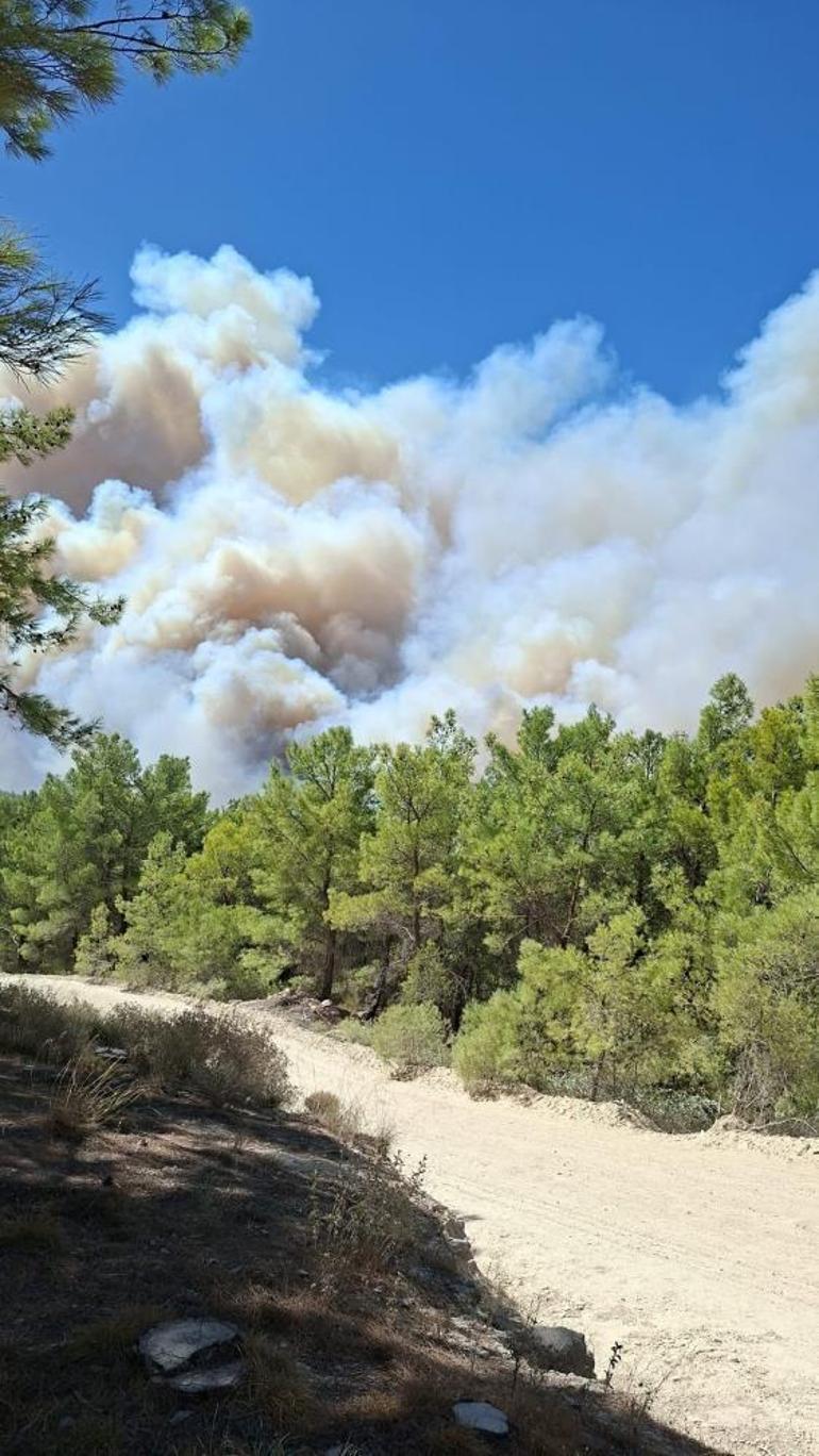 Muğla ve Antalya sınırında büyük orman yangını: Saklıkent Kanyonu ziyarete kapatıldı