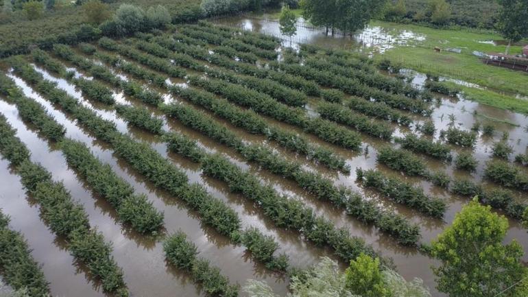 Çarşambada 17 gün içinde ikinci sel afeti Vatandaşlar mağdur oldu