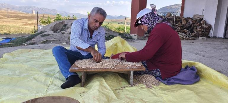 Adananın bereketli topraklarında hasat sürüyor Kilogram fiyatı 100 liradan satışa sunuluyor