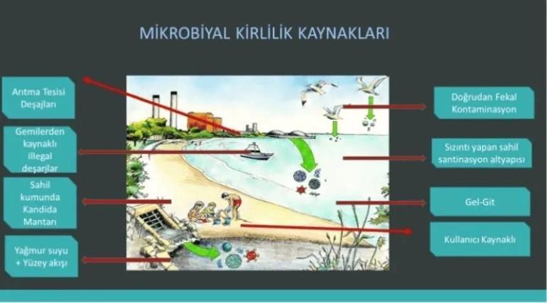 Bilim insanları Konyaaltı Sahilinde çözdü: Sınır değer bu yaz aşıldı