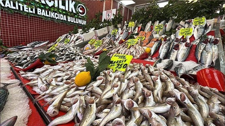 Karadenizde palamut patlaması Fiyatlar dibi gördü