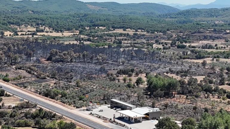 Muğlada yangın sonrası korkunç görüntü