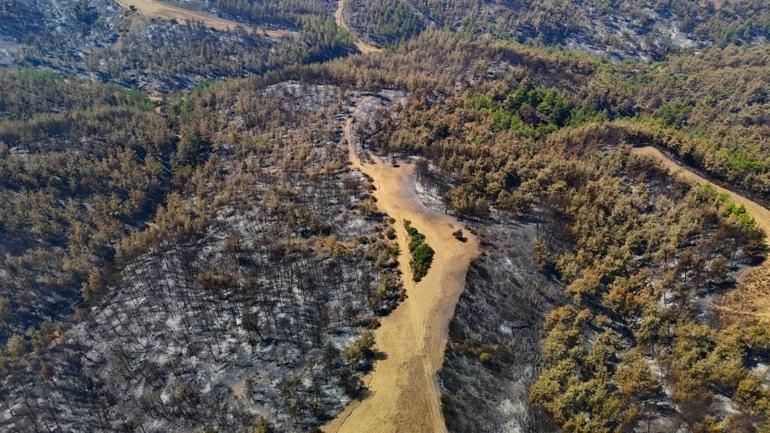 Adanada 3 gündür süren orman yangını kontrol altına alındı