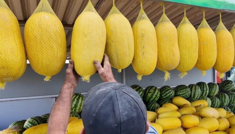 Bekledikçe güzelleşiyor, asıldıkça lezzetleniyor Bu kavun başka kavun