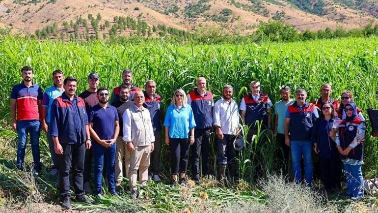 Yem ihtiyacını bitiriyor, süt üretimini kat kat artıyor Hasat, Malatyada işletmeleri kurtardı