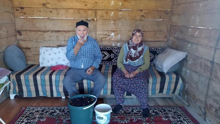 Samsunlu emekli çiftin bahçesi alternatif tarıma örnek oluyor