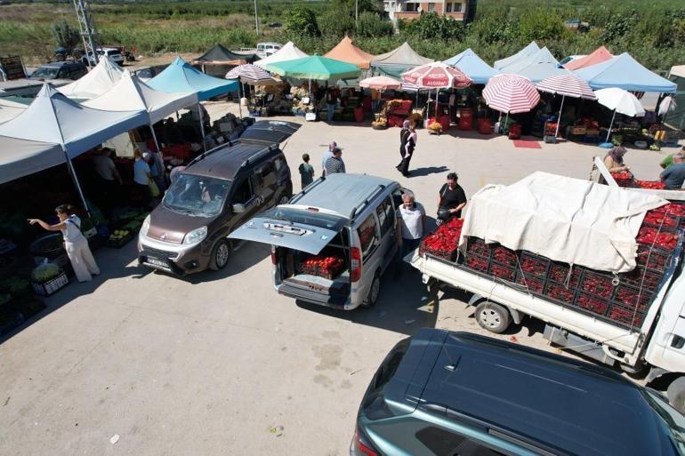 Bu pazarda komisyoncu yok Tarladan toplanan ürünler dakikalar içinde tezgaha iniyor