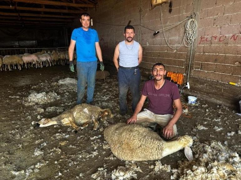 Bursanın serveti boş arazilere atılıyor Yaptığı iş için tesis çağrısı yaptı
