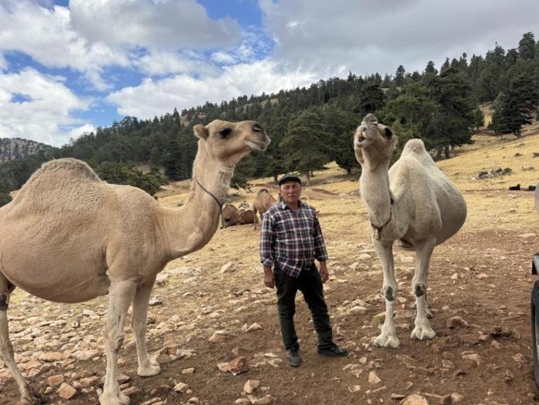 Konya’da asırlık yörük geleneği böyle yaşatılıyor “Böyle doğduk, böyle yaşıyoruz’’