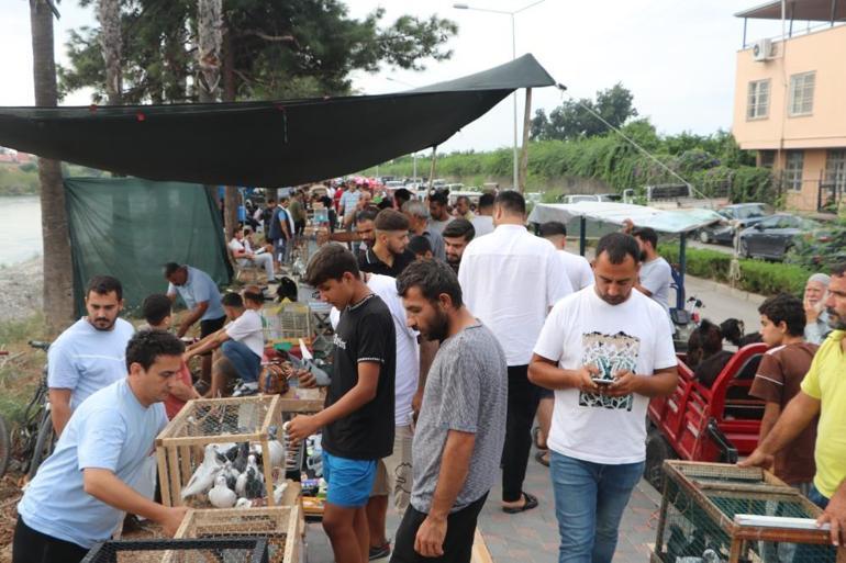 Adanalıların pahalı hobisi Sadece onları izlemek için 20 bin lira veren var