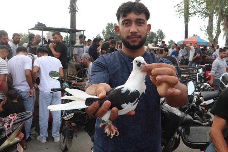 Adanalıların pahalı hobisi Sadece onları izlemek için 20 bin lira veren var